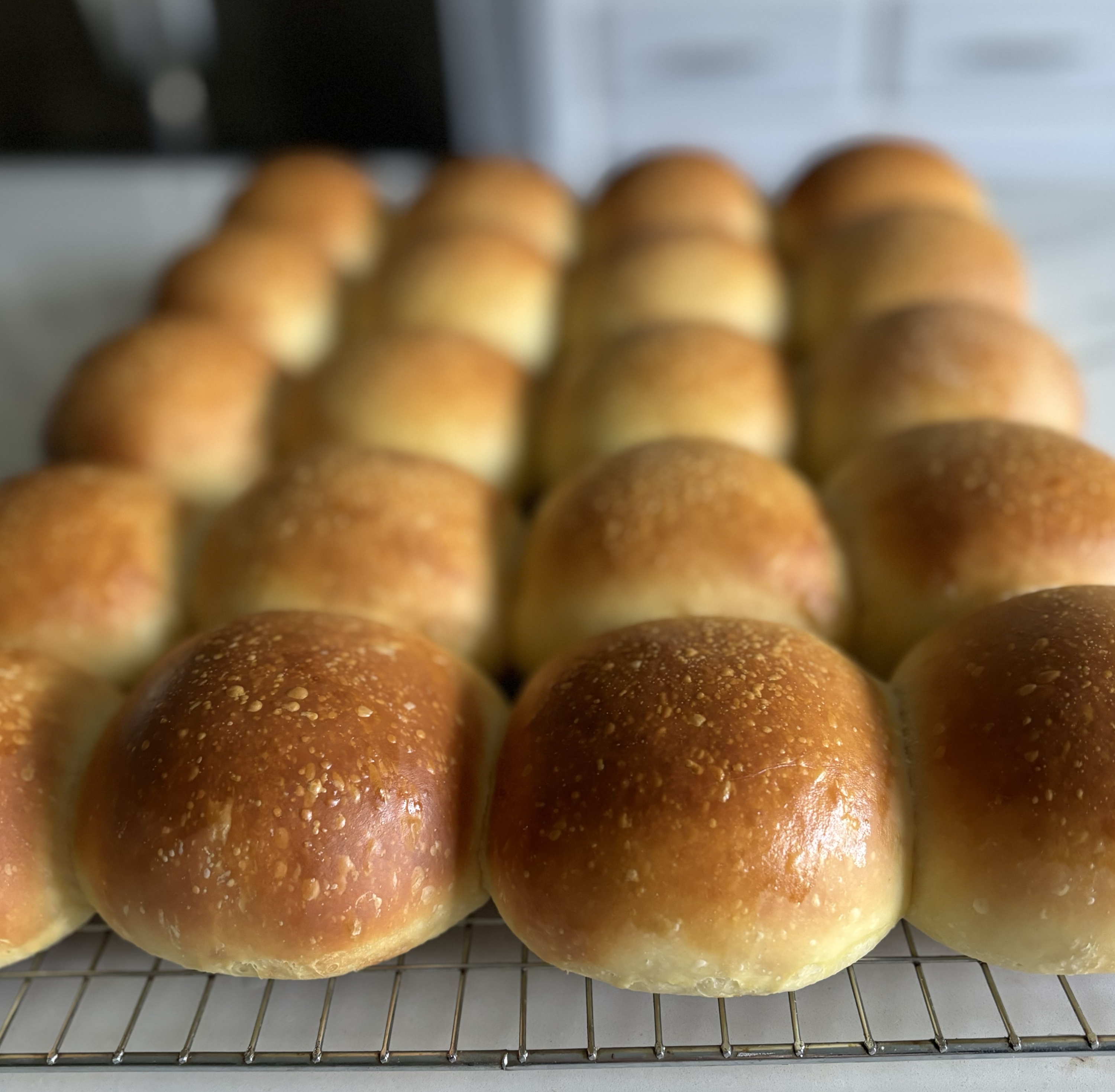 Sourdough Hamburger Buns